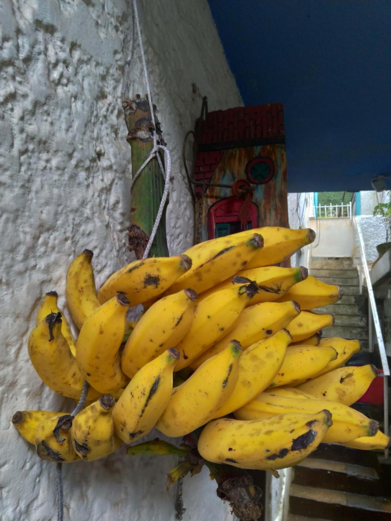 Bed and Breakfast Rio National Park H&C Río de Janeiro Exterior foto